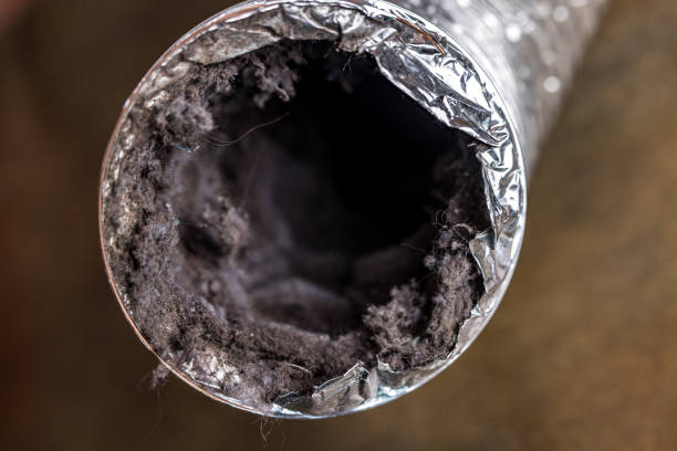 Best Affordable Duct Cleaning Services  in De Leon, TX
